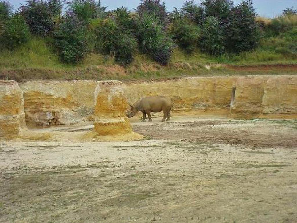 149 BIO PARC DE DOUE LA FONTAINE 4- 2016_000010.jpg